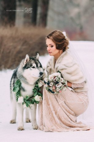 Невеста с собакой
