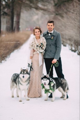 Зимняя свадебная фотосессия с хаски